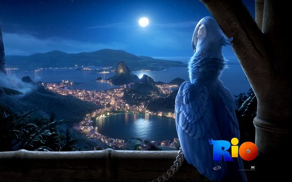 click to free download the wallpaper--Rio Movie Post in 1920x1200 Pixel, Beautiful Female Bird All On Herself, Where is Her Mr.Right? - TV & Movies Post