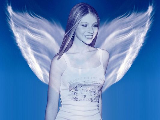 click to free download the wallpaper--TV & Movie Wallpaper, Michell Trachtenberg Smiling, White Wings, She is the Angel