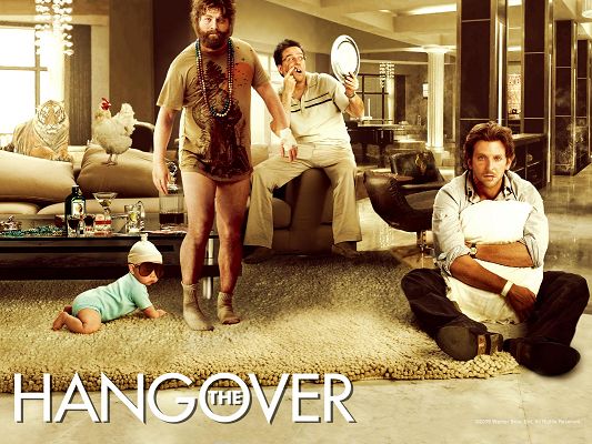 The Hangover Movie Post in 1600x1200 Pixel, All Men Are Not Perfect, They Are a Little Surprised, a Lively Scene - TV & Movies Post