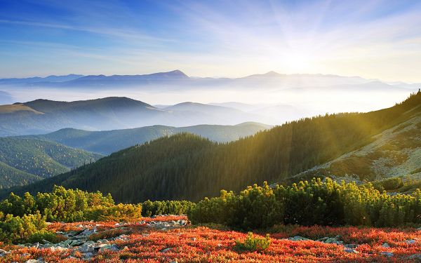 click to free download the wallpaper--The Rising Sun is Powerful Enough, the Hills and the Flowers Are Stretching the Arms to Welcome the New Day, an Incredible Scene! - HD Natural Scenery Wallpaper