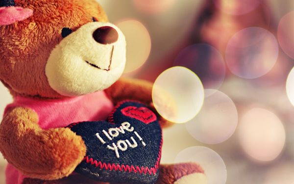 click to free download the wallpaper---The Romantic Bear, Sure She is Lucky and Has Found Her Mr.Right, Do You Love Her? - Cozy and Romantic Scene Wallpaper