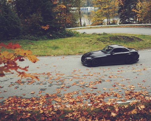 Top Cars Post, Black Honda S2000 Turning a Corner, Fallen Leaves, Great Car and Nature Scenery