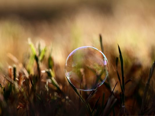 click to free download the wallpaper--Wallpaper Free Computer, Soap Bubble On Grass, Clean and Fresh Scene