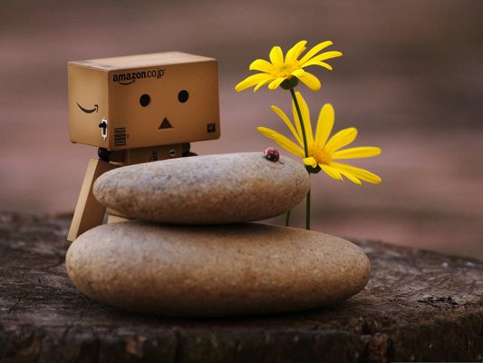Wallpaper for the Computer, Danbo And Zen Pebbles, Who Are You, Can We Have Fun Together?
