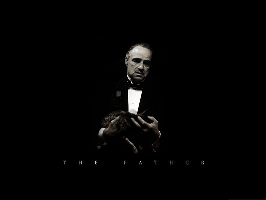 click to free download the wallpaper--Wallpaper for the Computer, The Godfather, a Cat in His Hand