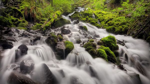 beautiful nature wallpaper - A Waterfall in Rapid Flow, Green and Natural Plants Alongside