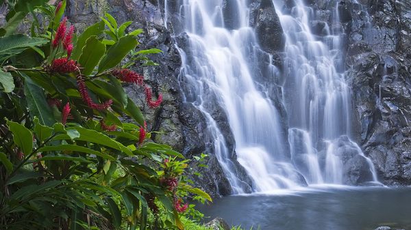 click to free download the wallpaper--free nature photos - Waterfalls Are Gathering into the Lake, Water is Fresh and Clean, Like a Fairyland
