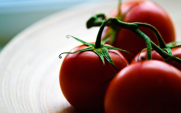 free wallpaer of tomatoes ,click to download