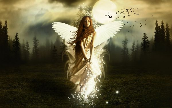free wallpaper of a angel girl  in forest ,click to download