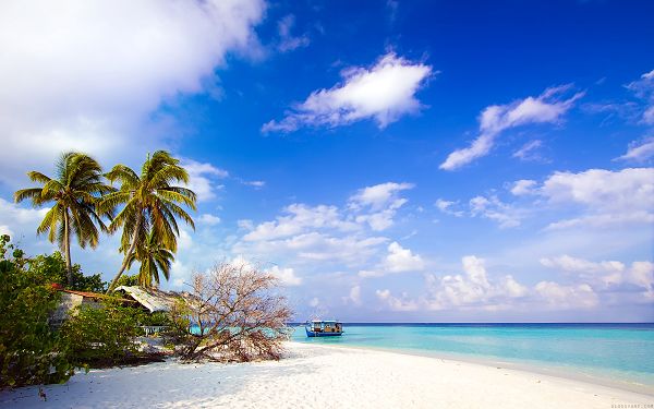 free wallpaper of beach:  HD Sky Blue Beach ,click to download