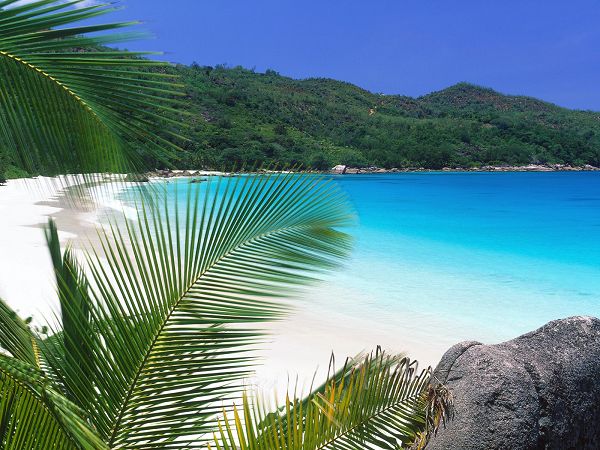 free wallpaper of beach: Retreat Beach in Tropic ,click to download
