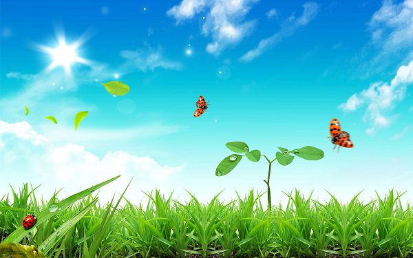 free wallpaper of natural scenery: three ladybirds flying in the grass
 ,click to download