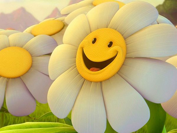 huigh quality wallpaper of cartoon sunflower ,click to download