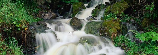 click to free download the wallpaper--natural scene photos - A River in Rpaid Flow, Green Stones Brushed Clean, is an Impressive Scene