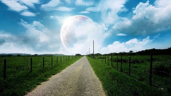 click to free download the wallpaper--photo of nature - Green Plants Divided by a Narrow White Road, the Rising Moon