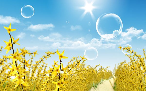 scenery wallppaer: yellow flowers in spring ,click to download