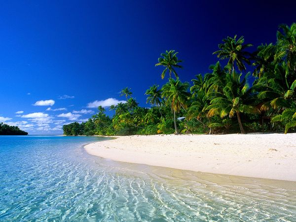 wallpaper of beach: A quiet beach in Cook Islands ,click to download