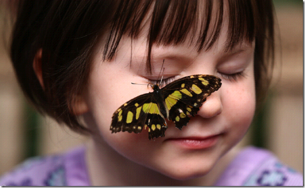Intimate Touch with Butterfly for a cute Girl
